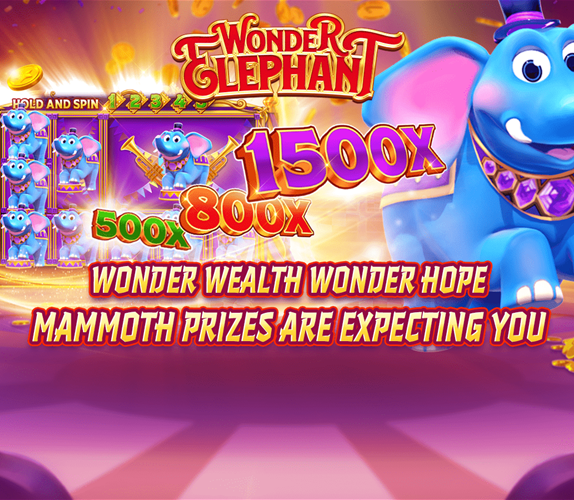 Wonder Elephant